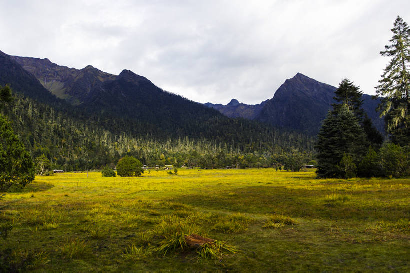 无人,横图,室外,白天,旅游,度假,草地,草原,美景,森林,山,山脉,植物,多云,中国,亚洲,曲折,地形,景观,山顶,山坡,娱乐,林芝,西藏,草,树,绿色,风景,天空,自然,平原,享受,休闲,景色,放松,茂密,摄影,茂盛,宁静,环境,自然风光,东亚,西藏自治区,青藏高原,坎坷,崎岖,地质学,自然地理,彩图,旅行,林区,广角,南伊沟,bj175