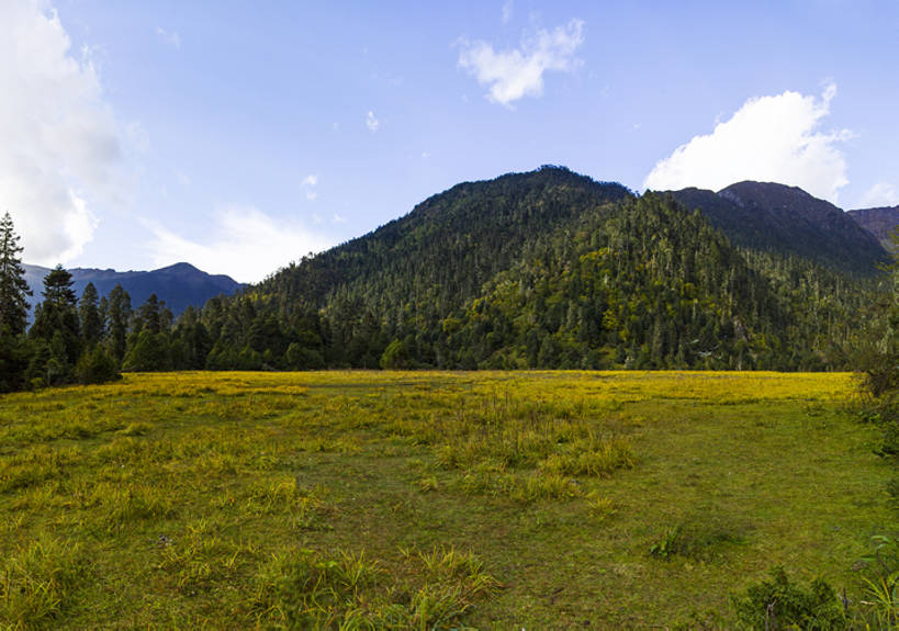 无人,横图,室外,白天,旅游,度假,草地,草原,美景,森林,山,山脉,植物,松树,中国,亚洲,曲折,地形,景观,山顶,山坡,云,娱乐,林芝,西藏,草,树,蓝色,绿色,风景,天空,自然,平原,享受,休闲,景色,放松,茂密,摄影,茂盛,宁静,环境,自然风光,东亚,西藏自治区,青藏高原,常绿树,坎坷,崎岖,地质学,自然地理,针叶树,彩图,旅行,林区,广角,南伊沟,bj175