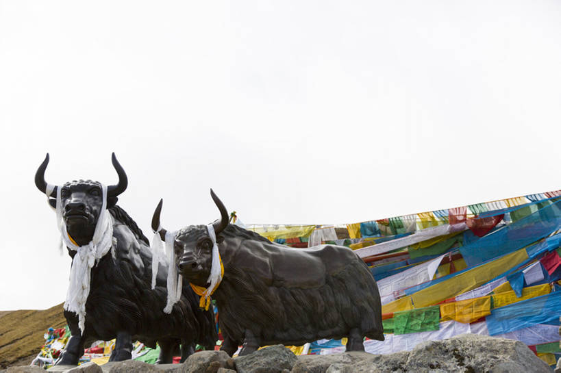 无人,横图,室外,白天,旅游,度假,石头,美景,旗帜,雕塑,中国,亚洲,吊挂,悬挂,雕像,景观,挂,文化,娱乐,传统,西藏,经幡,少数民族,民族,风景,自然,动物,祈祷,享受,休闲,景色,放松,摄影,宗教,佛教,中国文化,自然风光,东亚,西藏自治区,喇嘛教,哈达,青藏高原,米拉山,古代文明,灵性,岩石,牦牛,彩图,旅行,传统文化,中国少数民族,bj175