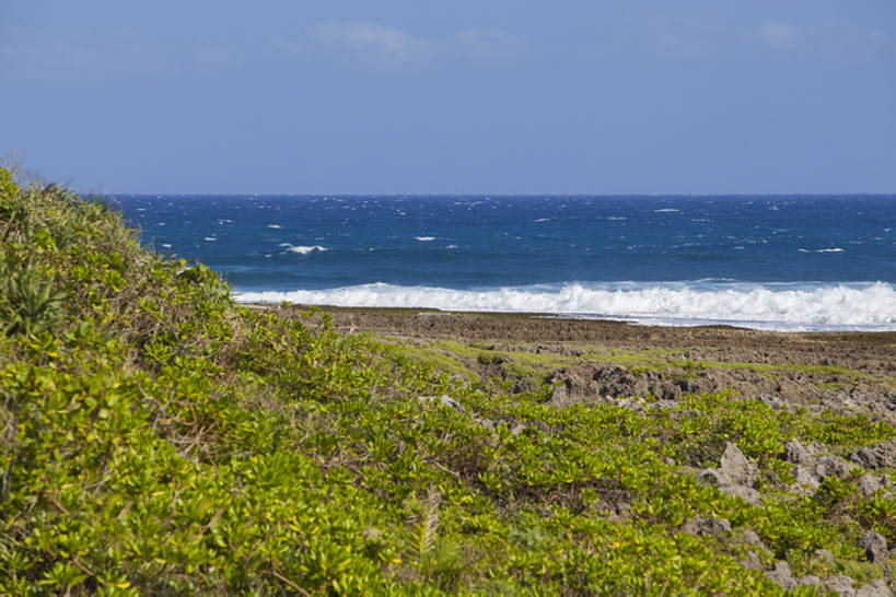 无人,横图,室外,白天,旅游,度假,海浪,海洋,石头,美景,水,植物,台湾,日光,中国,亚洲,岛,地平线,海岸线,景观,水边,水面,水平线,苔藓,娱乐,草,蓝色,绿色,风景,天空,自然,波浪,享受,休闲,景色,放松,摄影,宁静,环境,生态,自然风光,海景,东亚,台南,自然地理,暗礁,海滩,岩石,彩图,旅行,恒春半岛,广角,垦丁,bj175