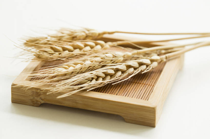 无人,横图,特写,留白,白色背景,小麦,静物,北京,中国,亚洲,竹制,装饰,谷物,食品,麦穗,主食,摄影,收获,竹制品,东亚,寿司帘,寿司席,寿司竹,寿司竹卷,寿司竹席,彩图,影棚拍摄,bj175