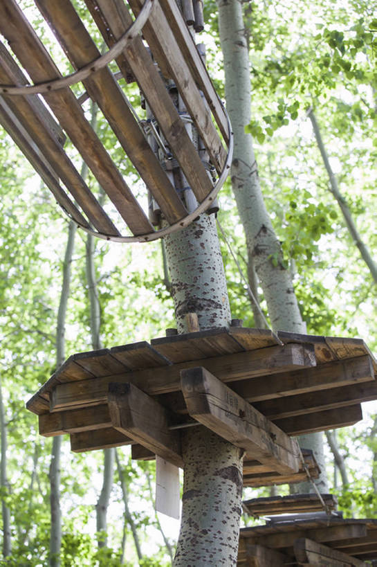 无人,公园,竖图,室外,白天,仰视,旅游,度假,建材,美景,树林,建筑,北京,中国,亚洲,吊挂,悬挂,隧道,材料,木板,木材,景观,桥,郊区,挂,娱乐,木柴,树,树干,树叶,绿色,风景,自然,绳子,享受,休闲,景色,放松,平衡,摄影,建造,木料,自然风光,户外活动,挑战,树梢,东亚,冒险,彩图,低角度拍摄,林区,超越障碍训练场,bj175