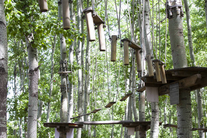 无人,公园,横图,室外,白天,仰视,旅游,度假,建材,美景,树林,建筑,北京,中国,亚洲,吊挂,悬挂,材料,木板,木材,景观,桥,郊区,挂,娱乐,木柴,树,树干,树叶,绿色,风景,自然,绳子,索桥,享受,休闲,景色,放松,平衡,摄影,建造,吊桥,木料,圆木,自然风光,户外活动,挑战,树梢,东亚,冒险,彩图,低角度拍摄,绳桥,林区,超越障碍训练场,bj175