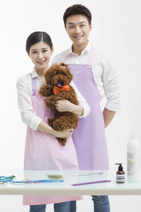 东方人,成年人,两个人,笑,微笑,露齿笑,竖图,留白,正面,衬衫,快乐,幸福,信心,桌子,宠物,狗,北京,中国,亚洲,灰色背景,工作,围裙,注视,现代,一只,动物,观察,看,站着,职业,家畜,亲密,搭,服务,摄影,生活方式,观看,察看,享乐,搭着,关爱,关注,肖像,贵妇犬,合伙,东亚,陪同,陪伴,店主,男人,男性,年轻男性,年轻女性,女人,女性,亚洲人,中国人,年轻人,拥抱,彩图,影棚拍摄,欢乐,宠物商店,宠物美容师,伴随,bj175