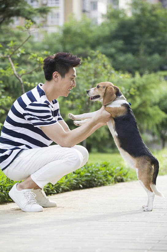 东方人,成年人,一个人,公园,蹲,笑,微笑,露齿笑,竖图,室外,白天,侧面,快乐,幸福,纯洁,石头,植物,城市,路,宠物,狗,北京,中国,亚洲,仅一个男性,仅一个人,漫步,石子,人行道,小路,玩,休闲装,现代,树,仅一个年轻男性,一只,绿色,动物,社区,夏天,休闲,面对面,家畜,放松,活力,可爱,亲密,童年,童趣,摄影,生活方式,享乐,关爱,童真,东亚,烂漫,无邪,陪同,陪伴,无忧无虑,天真,男人,男性,年轻男性,亚洲人,中国人,年轻人,石块,岩石,休闲活动,彩图,全身,欢乐,小猎犬,居住区,伴随,bj175