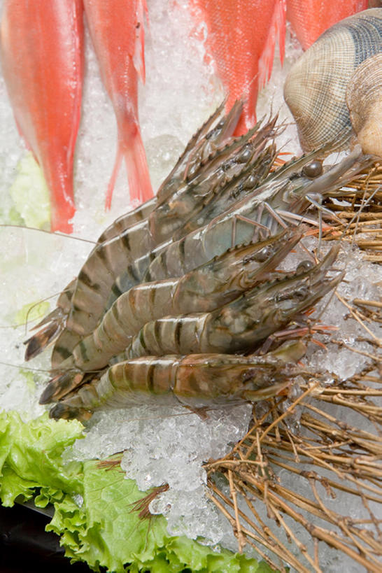 无人,竖图,静物,许多,鱼,冰,生食,虾,冰块,食品,很多,饮食,蛤,摄影,清新,甲壳动物,海产,彩图,bj175