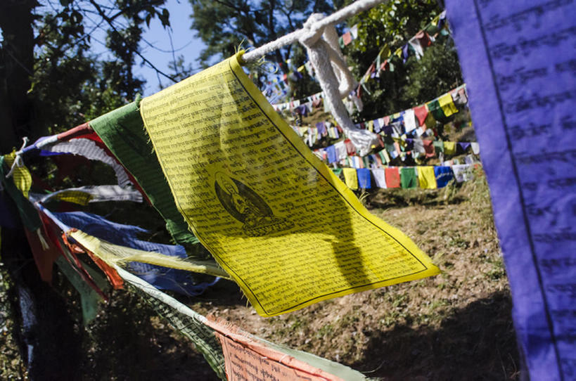 无人,横图,室外,白天,静物,旗帜,印度,亚洲,吊挂,悬挂,挂,文化,经幡,少数民族,民族,树,摄影,宗教,中国文化,经文,喇嘛教,彩图,中国少数民族,bj175