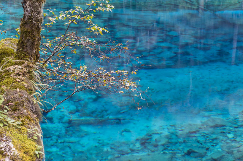 无人,横图,室外,白天,旅游,度假,湖,美景,水,九寨沟,中国,亚洲,透明,池塘,地形,景观,娱乐,干净,树,蓝色,风景,自然,享受,休闲,景色,放松,摄影,宁静,自然风光,彩图,旅行,bj175