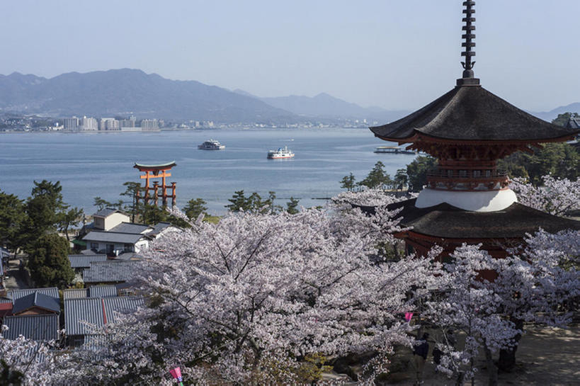 无人,寺庙,横图,室外,白天,旅游,度假,海洋,美景,名胜古迹,山,樱花,日本,行人,游客,游人,鸟居,地形,景观,牌坊,古典,娱乐,宝塔,路人,旅客,花,风景,天空,自然,春天,享受,休闲,景色,放松,摄影,宁静,神殿,自然风光,古典风格,拜访,广岛,过客,彩图,旅行,宫屿,bj175