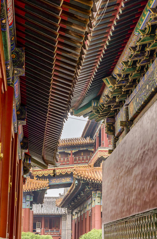 寺庙,竖图,室外,白天,北京,中国,亚洲,屋顶,宗教,建造,东亚,喇嘛,喇嘛教,雍和宫,bj175