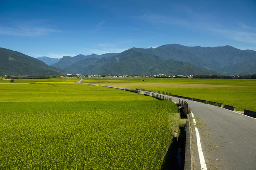 横图,室外,白天,农业,山,台湾,亚洲,稻田,乡村,天空,台东县,bj175