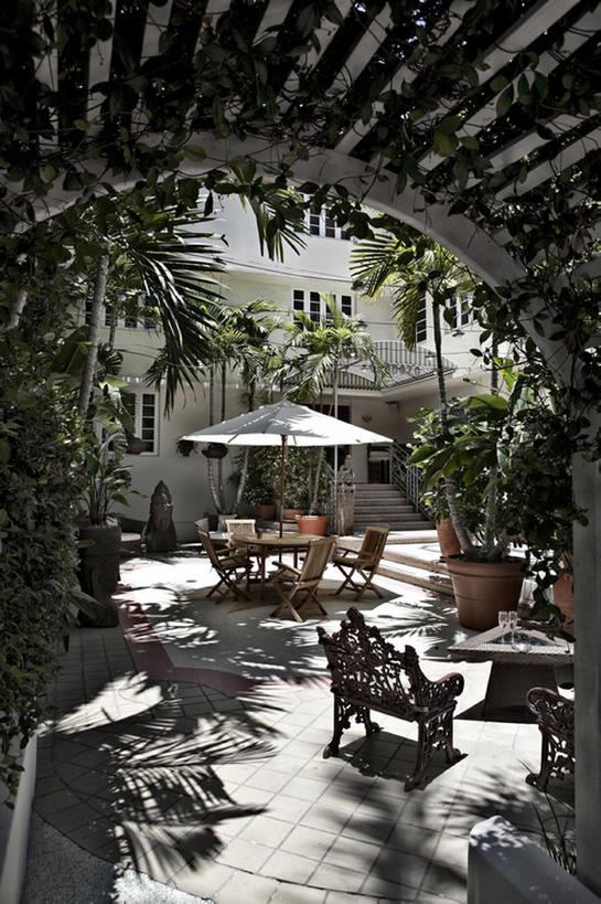 无人,竖图,室外,白天,植物,棕榈树,椅子,日光,美国,阴影,拱门,摄影,建造,园林,宁静,华贵,佛罗里达,迈阿密,彩图,bj175