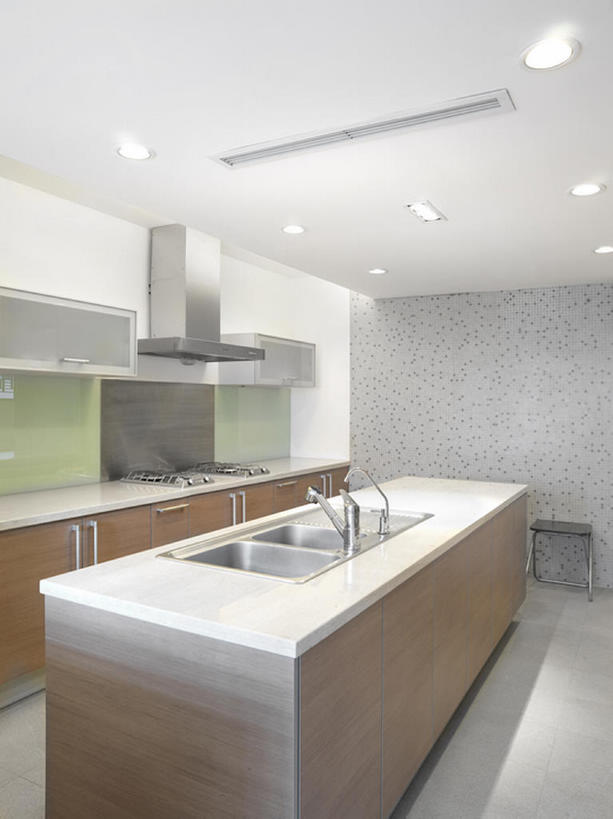 无人,家庭,竖图,室内,奢侈,时尚,厨房,柜子,桌子,椅子,中国,亚洲,一排,整齐,水槽,水龙头,灶台,公寓,豪华,干净,现代,布置,灯,排列,装饰物,打开,温暖,温馨,一家人,财富,摄影,电灯,华丽,样板房,照亮,和睦,高雅,简单,开启,队列,华贵,抽油烟机,东亚,富丽,华美,设计,烹调用具,彩图,融洽,华侈,奢华,上层阶级,bj175