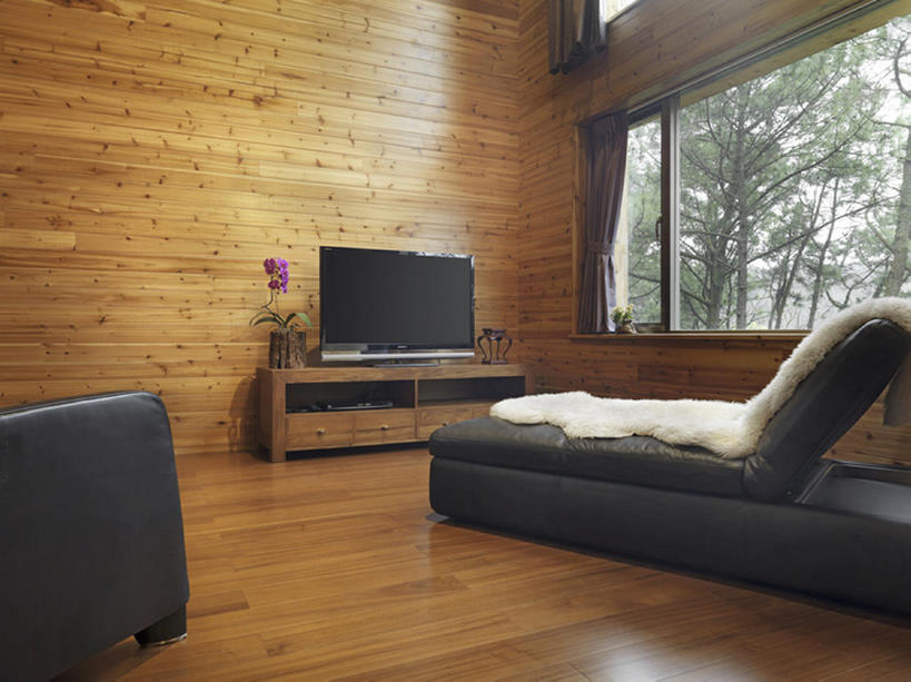 无人,横图,室内,白天,建材,显示器,植物,别墅,窗户,地板,家具,建筑,电视,椅子,雕塑,中国,亚洲,一排,艺术,整齐,装饰,木制,材料,雕刻,雕像,木板,木材,盆栽,屏幕,躺椅,公寓,褐色,盆景,地面,干净,显示屏,现代,木地板,木柴,花,排列,绿色,自然,装饰物,工艺品,打开,财富,摄影,建造,木料,生长,褐色背景,成长,纪念,美术,起居室,高雅,住房,简单,开启,队列,主题,彩电,华贵,家庭影院,液晶显示器,陈列,输出设备,东亚,功能,美学,彩色电视机,显像管屏,显像管屏幕,硬木,设计,电视机,彩图,动物皮,bj175