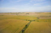 tkf001_159664