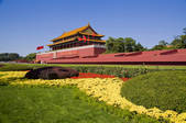 tkf001_311606