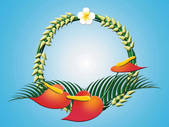tkf001_782992