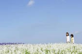 tkf001_799901