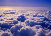 tkf001_799910