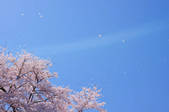 tkf001_808406