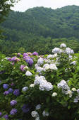 tkf001_810020