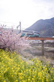 tkf001_811724