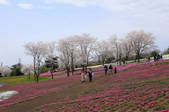 tkf001_826584