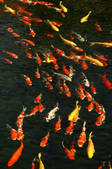tkf001_466425