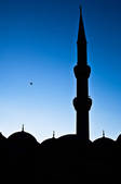 tkf001_496903