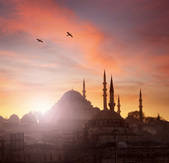 tkf001_503457
