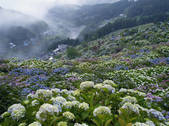 tkf001_561273