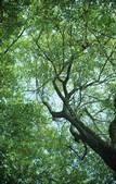 tkf003_103038