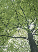 tkf003_119171