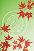 tkf003_125011