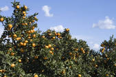 tkf003_125224