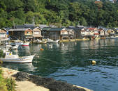 tkf003_125881