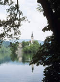 tkf003_348324