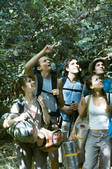 tkf003_440461
