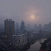 tkf003_510264