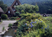 tkf003_528080