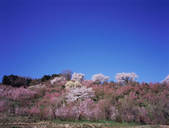 tkf003_543243