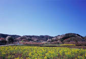 tkf003_543245