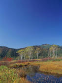 tkf003_546384