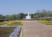 tkf003_557664
