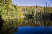 tkf003_581041