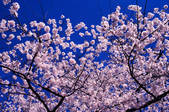 tkf003_652529