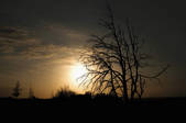 tkf003_660409