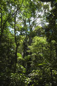 tkm001_472451