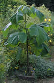 tkm001_807795