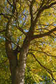 tkm001_808755